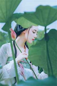秦霜秦朗结局免费阅读我的赘婿爹爹番外