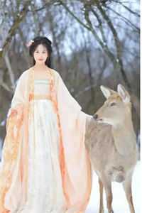 太子将怀孕的我献给蛮族，我杀疯了九安婉儿全文免费