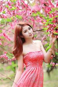 当白莲绿茶对上拽姐：陆晨林悦番外笔趣阁