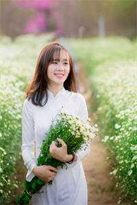 辞花朝结局+番外小说