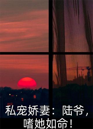 国际赌场联盟特派调查员全文