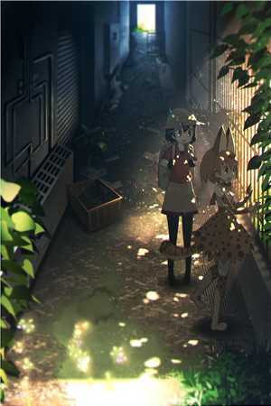 夫君来自平行时空无删减全文