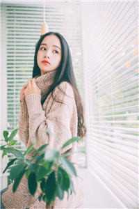 玫瑰与琴键 全集
