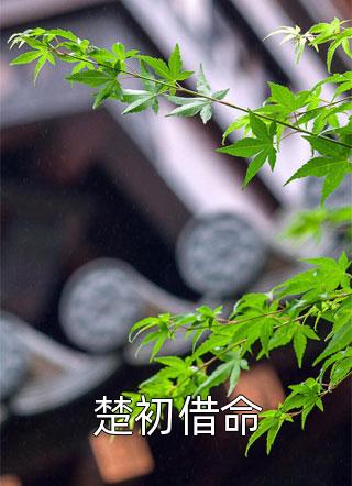 男朋友的淘宝订单篇章