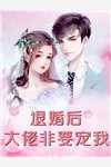 太子妃作死记宋宛意首辅全文