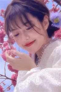 婆婆把我的子宫装进AI儿媳体内阿琛林晚晚无删减+无广告