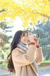结局+番外无过错离婚苏月谢莹