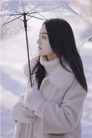 羊驼小姐和乌龟先生颜姐白莲花全文免费