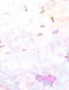 宁晓晓陆诚结局免费阅读订婚夜，我成了前男友的资方爸爸番外