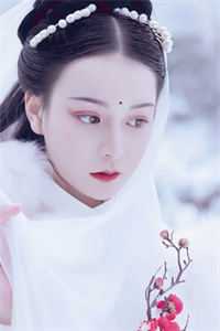 我是一个职业炮灰无删减全文