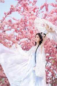 恶婆婆跟白月光作死后终于如愿了全文免费