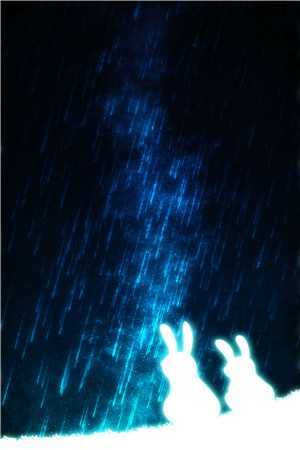 我在风花雪月中等你后续+完结