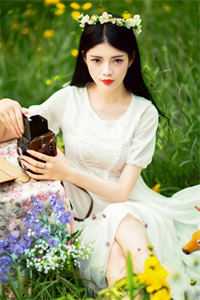 因果轮回：我即众生云芷灵根完结文
