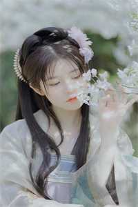 爱别八零：离婚后光荣当军嫂　全文+番茄