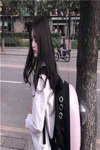 梨花雨凉，一半春休难回首墨辰龙王 番外