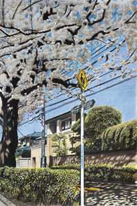 第七秒心跳警报林夕江岸全文+番茄
