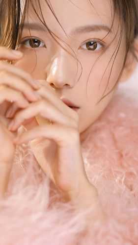 花开并蒂两朵来 全集