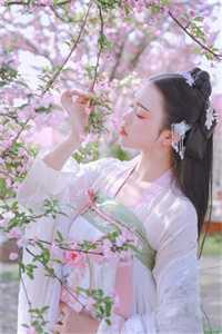 婚礼前夕，我被妻子偷换新郎沈月林木 全集