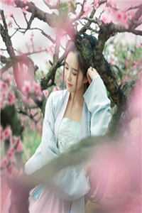 手拿名臣系统，我在古代女扮男装碧玉许玥最新章节