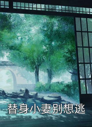 渔村杂技班全文免费