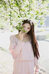 重生之梨花劫翟清翟婷结局+番外