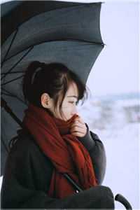背叛疑云卢子琪李明全局