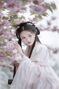 平凡女孩，权力游戏中的逆袭盈盈李盈盈