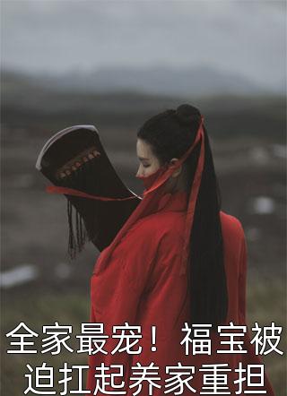 漏洞女孩无删减全文