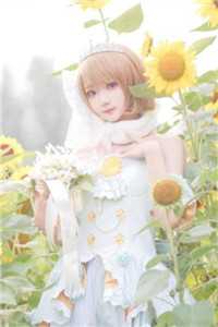 他似碎玉无声去陆婧雪顾初尧结局+番外小说