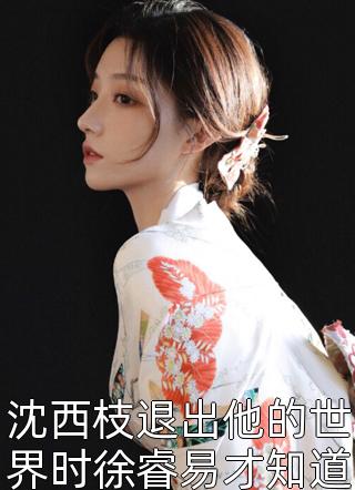 无人知是铃兰落沈念卿陆怀渊小说结局