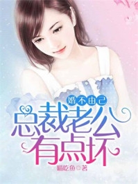 守护天使张伟李梅结局+番外