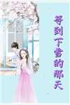 沈昭愿后续+全文