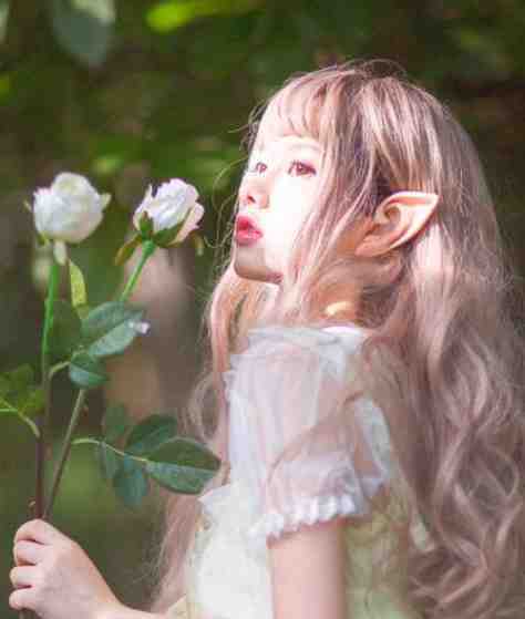 无人区妄想全文+番茄