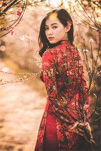 九王爷让苗疆圣女为妾结局+番外