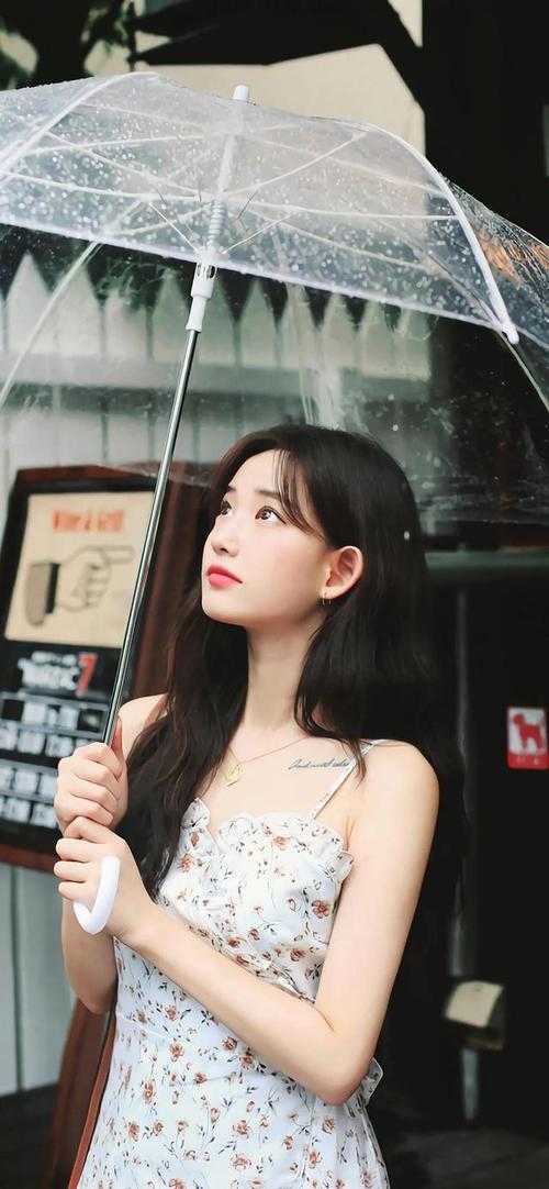 霜月雪满天小说