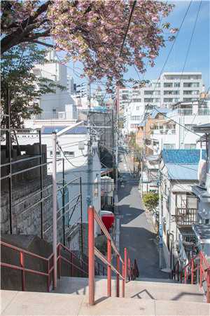 逆世黑图：破晓之光陈风龙叔 番外