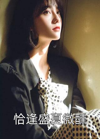 全家的算盘小说