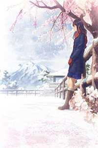 未曾寄出的温柔程小夏李婶小说