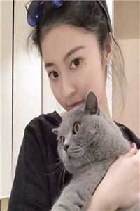 男强女强：神王殿主和女特工闪婚了无删减全文