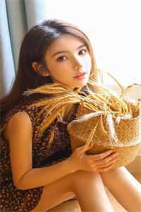 迟夏后续+全文