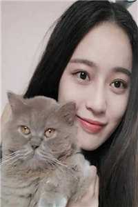 为给白月光出气，未婚夫将我钉进棺材思思侯许鹤无删减+无广告