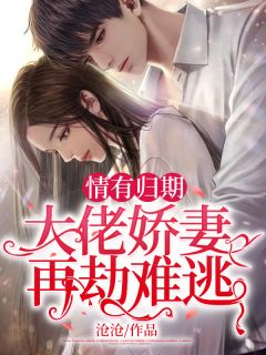 沈总，别来无恙全局