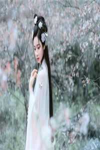 摄政王的金牌宠妃全局