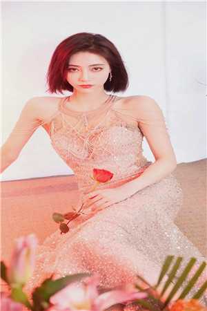 妻子和假死白月光私奔，我提离婚她却疯了盛婕陆霄最新章节列表