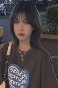 未完的盛夏陆远川林晚 全集