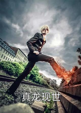 叶子之语后续+全文