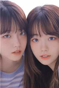雪松与星冕苏晚顾家全文