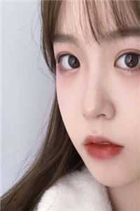 迢迢红墙全局