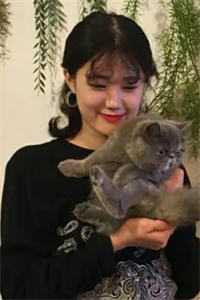 以安盛开全文免费
