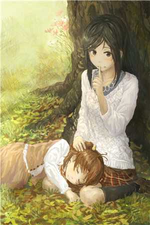 看见弹幕，我拒绝喝野生菌汤周萱菌子汤无删减全文